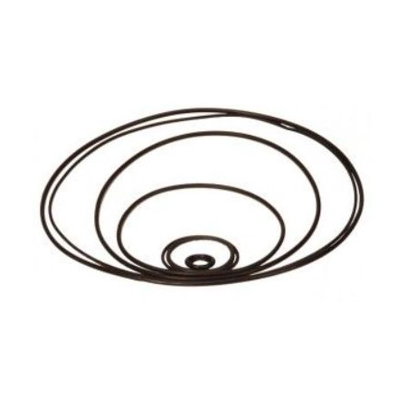 Seal for TG6 Isotta case