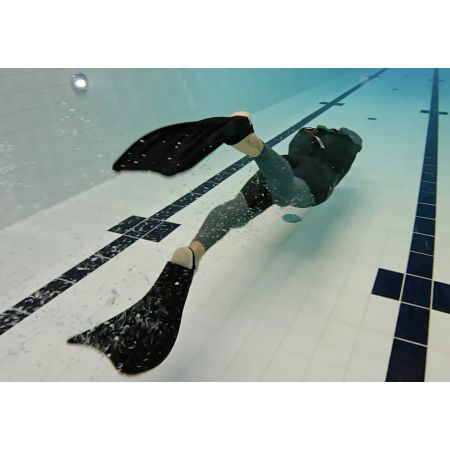 Palmes WOLVERINE black