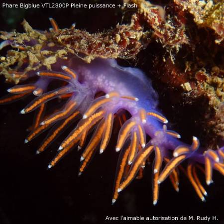 Phare Bigblue VTL3800P - Video 10° et 120°