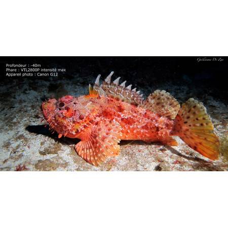 Big Blue VTL3800P Video Led light 10° and 120° beam