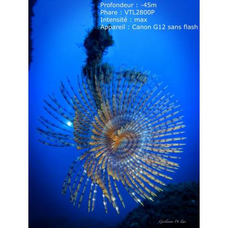 Phare Bigblue VTL3800P - Video 10° et 120°