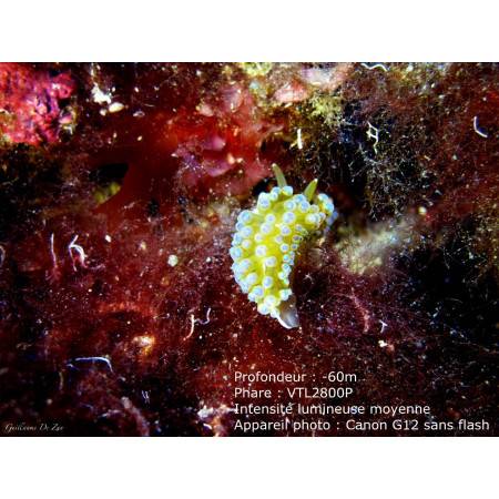 Phare Bigblue VTL3800P - Video 10° et 120°