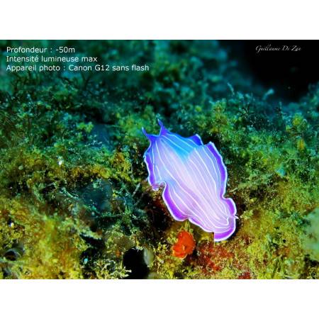 Phare Bigblue VTL3800P - Video 10° et 120°