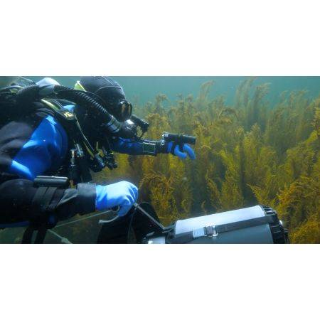 SHEARWATER Petrel 3 Fischer dive computer