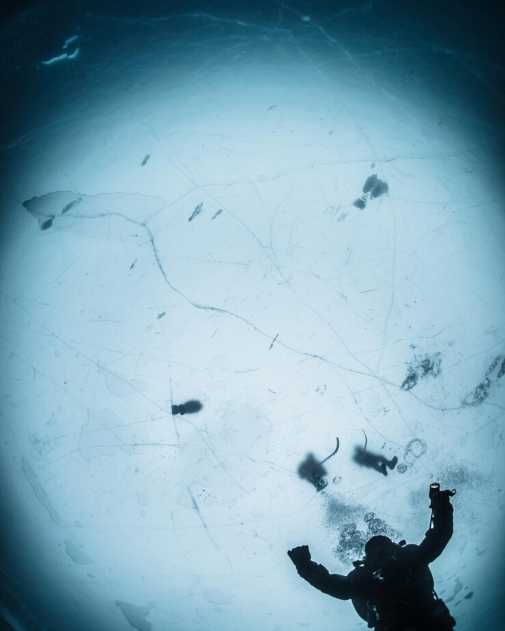 Textiles chauds ! Plus d'excuses pour ne pas plonger toute l'année