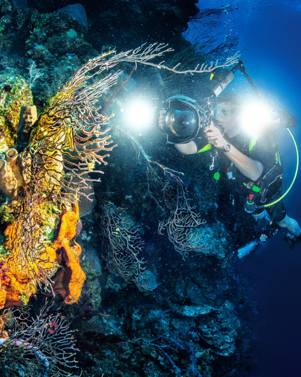 Photo sous marine : conseils, matériel et techniques pour des clichés réussis !