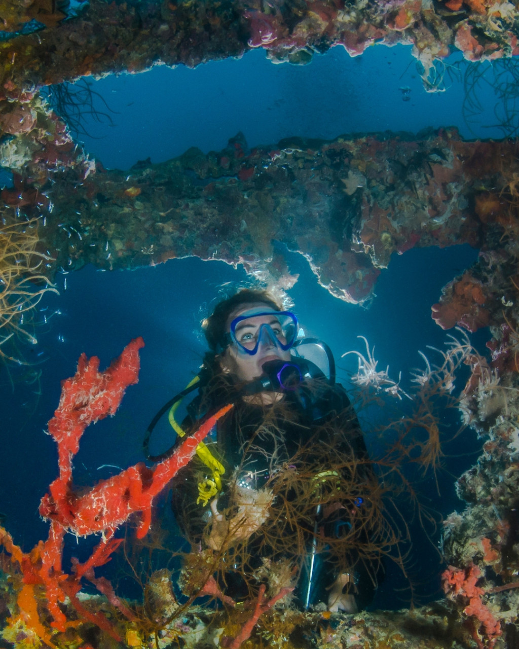 Top 10 des spots de plongée sur épave en Méditerranée