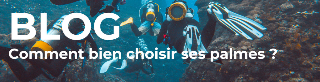 How to choose your fins ?