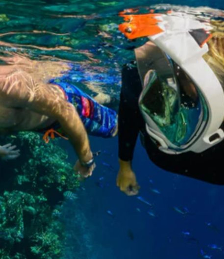 Découvrez le masque Ocean Reef et son unité de communication ! 
