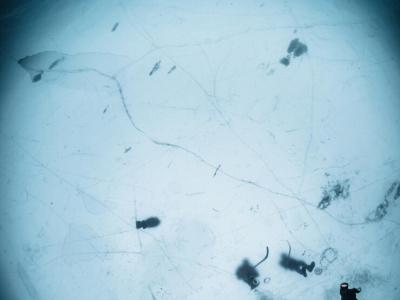 Textiles chauds ! Plus d'excuses pour ne pas plonger toute l'année