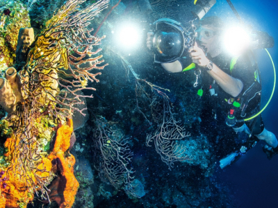 Photo sous marine : conseils, matériel et techniques pour des clichés réussis !