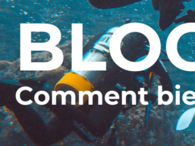 How to choose your fins ?